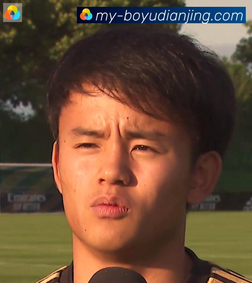 维尼修斯